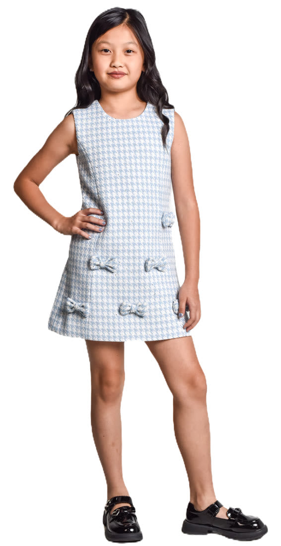 Mirabela Dress in blue check